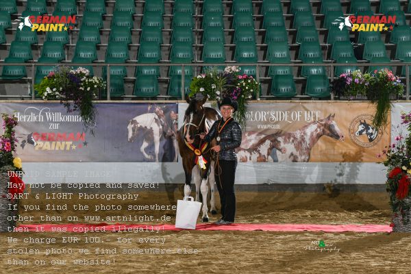 Preview Amateur Stallions All Ages GP5_1533.jpg